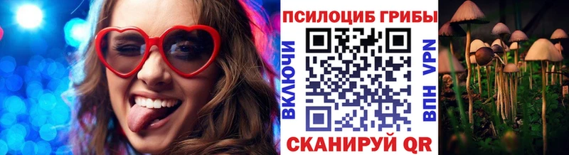 МЕГА вход  купить наркотики сайты  Сусуман  Псилоцибиновые грибы прущие грибы 